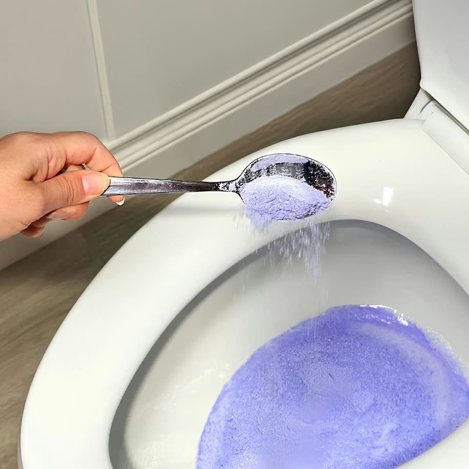 FizzClean Toilet Cleaner