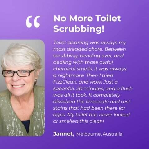 FizzClean Toilet Cleaner