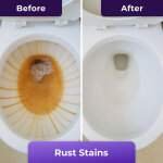 FizzClean Toilet Cleaner