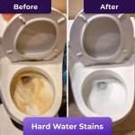 FizzClean Toilet Cleaner