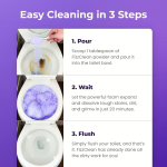 FizzClean Toilet Cleaner