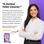 FizzClean Toilet Cleaner
