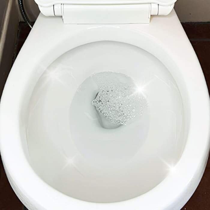 FizzClean Toilet Cleaner